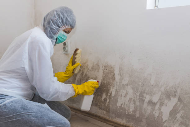 Mold Remediation for Vacation Homes in Chattanooga Valley, GA