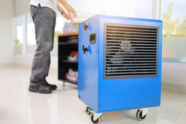 Best Mold Remediation for Healthcare Facilities  in Chattanoo Valley, GA